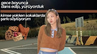 bol4 - seattle alone // türkçe çeviri