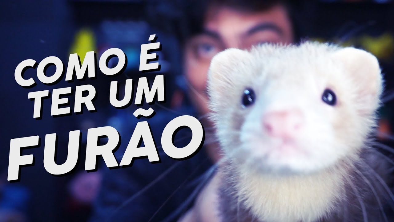 COMO É TER UM FURÃO