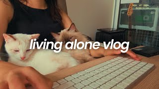 routine as a software engineer wfh - living alone in the philippines