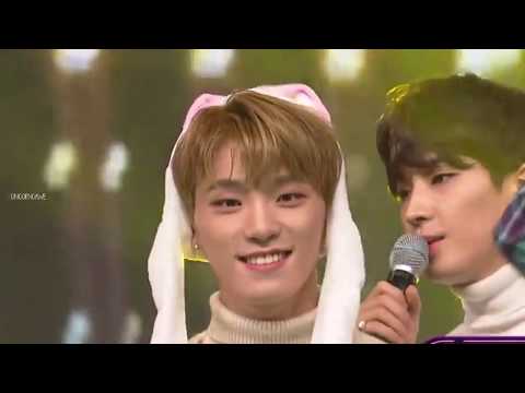 Happy birthday Dino!