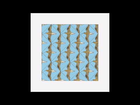 Cosmo Sheldrake - Numinous