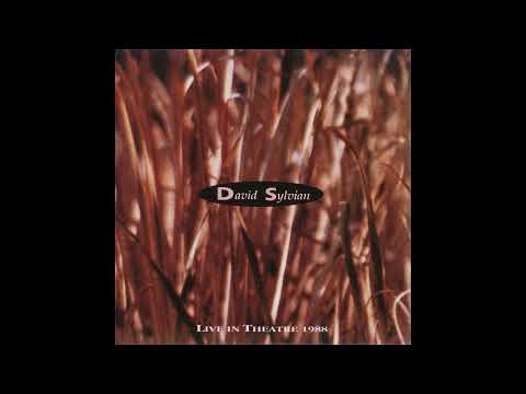 David Sylvian: The Grand Parade (Live in Theatre, 1988)