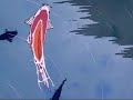 Lana Del Rey Fishtail Slowed Reverb