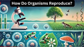 "How Do Organisms Reproduce? Exploring the Science of Life Continuity"