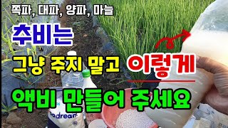 쪽파대파양파마늘 춥고건조할때 추비는 이렇게 페트병에 발효해 녹여 주시면 뿌리를 잘 내리고 파릇파릇 잘 자라요…