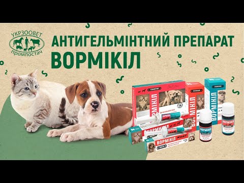 Відео превʼю