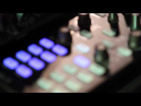 Zany Dance Valley 2010