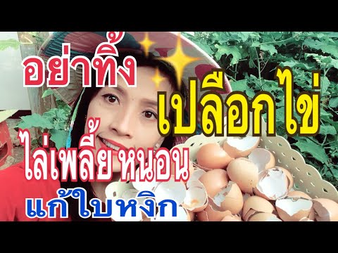 อาการของโรคสะเก็ดเงินรูปภาพ โรคสะเก็ดเงินไม่อยู่บนเท้า