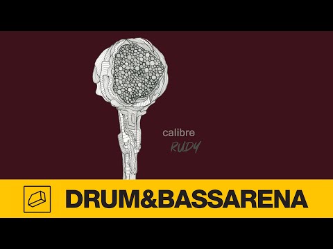 Calibre & Cimone - More Fool Me