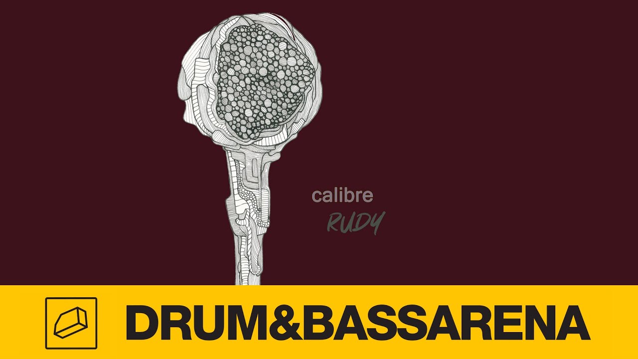 Calibre & Cimone - More Fool Me