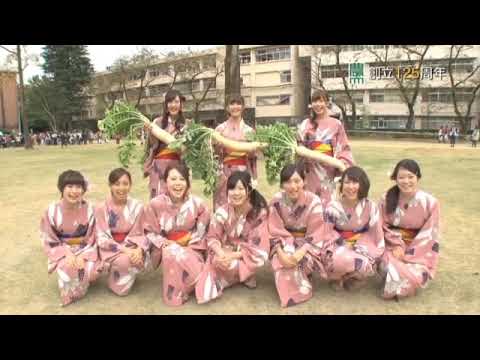 過去の収穫祭の様子