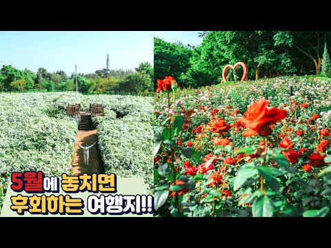 5월에 어디갈지 고민이라면 이 영상 하나로 고민 종결