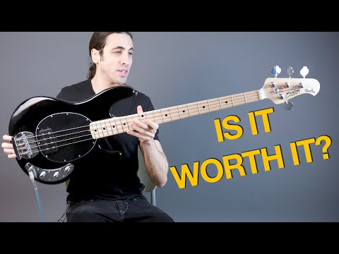 The Most Affordable Musicman Stingray Bass - Sterling By Musicman Ray4 SUB Bass Review
