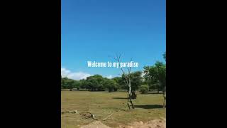 Download lagu #Terbaru2020 Story WhatApp Kren (Welcome to my paradise - Steven & Coconuttezz) mp3 Download lagu #Terbaru2020 Story WhatApp Kren (Welcome to my paradise - Steven & Coconuttezz) mp3