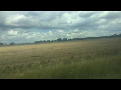 Frenzy farm in real life