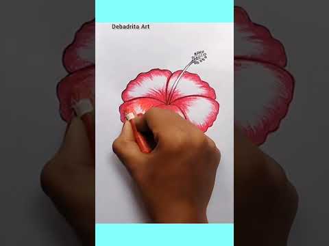 China rose \\ Hibiscus flowers drawing #shorts  #viral