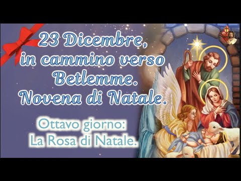 23 dicembre, in cammino verso Betlemme. Novena di Natale. Ottavo giorno:  La Rosa di Natale.