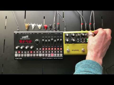 Erica LXR-02 with Strymon Volante Hardware Drum Synth Tape Echo Jam