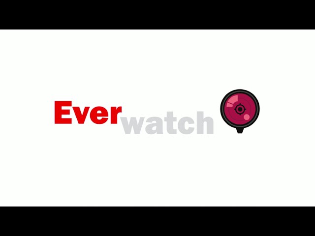 imagen-video-thelogisticsworld