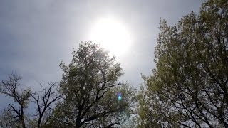 Summer Heat Can Put Strain on the Heart