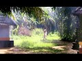 Kannanthali Muttathe Ayal