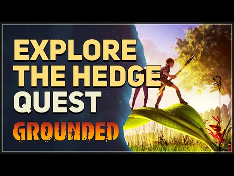 Explore the Hedge Lab Grounded