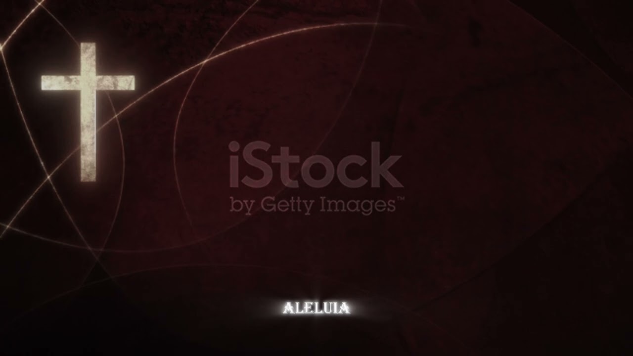 Liturgia diária! O Reino dos Céus é um tesouro que serve mais que tudo.