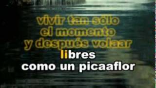Download lagu Raul Santi - Como un Picaflor. Karaoke mp3 Download lagu Raul Santi - Como un Picaflor. Karaoke mp3