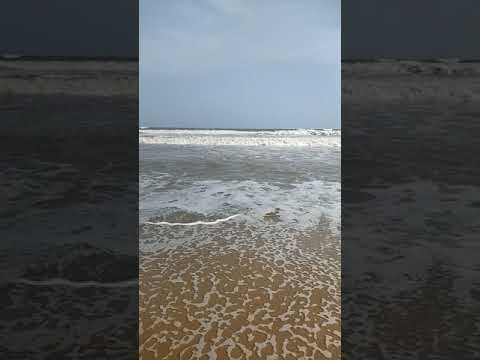 #beach#nature#friends#happiness#cool#enjoyment#peacful#viral video