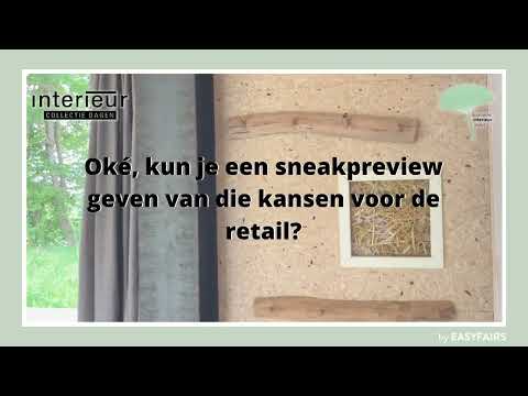 InCoDa 2022 spreker uitgelicht: Iris van Asselt - Duurzame interieurstylist