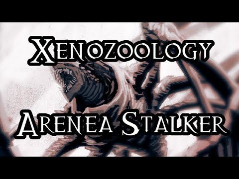 Xenozoology: Arenea Stalker - 40K Theories