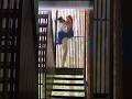 Triptidimri Vickykaushal Viralvideo Ytshorts Trending Love Lovestatus Lovestory Sex Xxx Hot