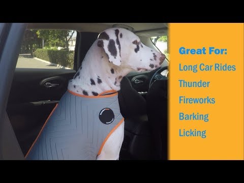 ThunderShirt Dog Anxiety Solution - Sport (XXLARGE) Video