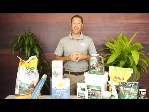 庭にモグラやハタネズミを駆除する方法