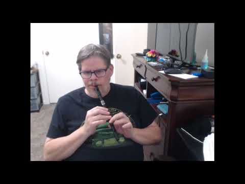 I bought a cheap tinwhistle from Temu on sale. I've paid more for worse...