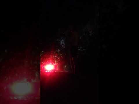 jean-mule 4818 berlin