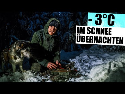 Bei -3°C Grad & Schnee mit Hund im Wald übernachten! Schlafsack & los! Winter BIWAK | Fabio Schäfer