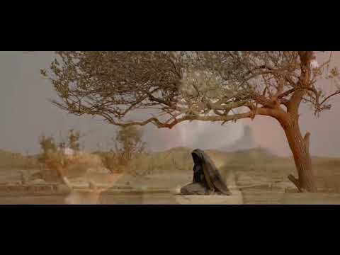 Mesum abbas| noha | bara dil dukhaya |😭