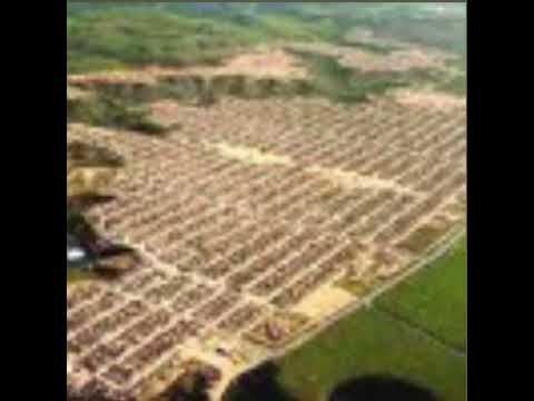 mano cafu benedito Bentes parte 1