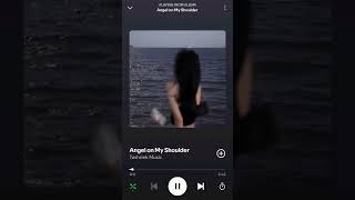 Sylver - Angel On My Shoulder (Tashriek Remix)(DJ Lil T Hype Edit)