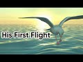 His First Flight Class 10 Animation In English Two Stories About Flying Part 1 Animated Video
