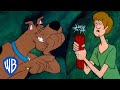 Scooby Doo Adventures In A Mineshaft Classic Cartoon WB Kids