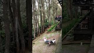 Download lagu ASIKNYA NONGKRONG DI CAFE YG ADA DITENGAH HUTAN PINUS DI BOGOR mp3