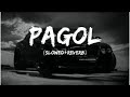 Pagol Lyrics Slowed Reverb