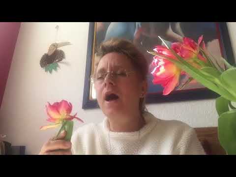 Es geht mir unter die Haut ,Tim Benzko (Karaoke von ⭐️Stella)