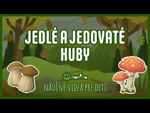 Jedlé a jedovaté huby | maminask :)