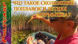 Скользящий поплавок на карася в камышах