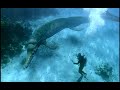 Sea Monsters A Walking With Dinosaurs Trilogy Dinosaurs Walkingwithdinosaurs Seamonsters