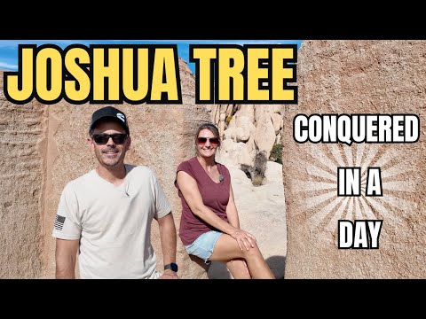 JOSHUA TREE - DO THESE 6 THINGS!