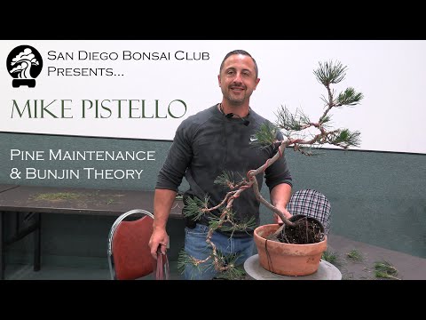 Mike Pistello - SDBC June 2024